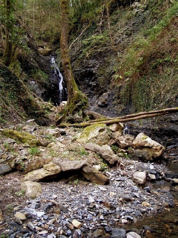 Valle del Farma e Stagno della Troscia: luoghi meravigliosi!